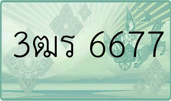 3ฒร 6677